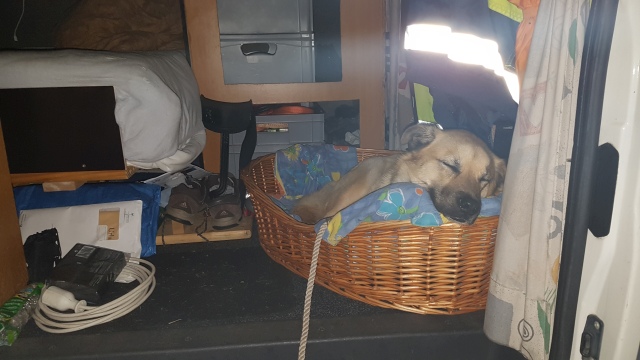 ../fotos/het_verlaat_2017/2017-07-13 23.25.39.jpg